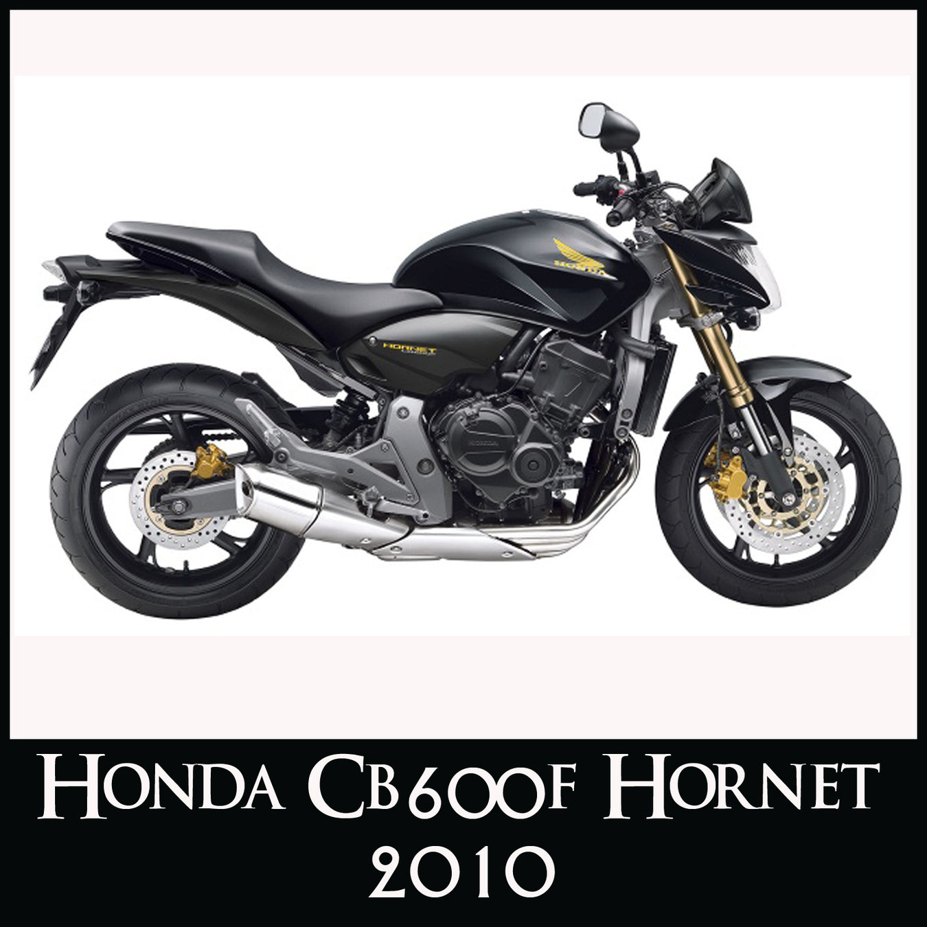 Honda CB600F Hornet- 2010