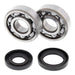 All Balls Racing Crankshaft Bearing Kit (24-1025)