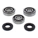 All Balls Racing Crankshaft Bearing Kit (24-1117)
