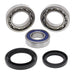 All Balls Racing Wheel Bearing Kit (25-1018)