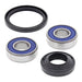 All Balls Racing Wheel Bearing Kit (25-1120)