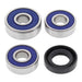 All Balls Racing Wheel Bearing Kit (25-1167)