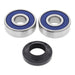 All Balls Racing Wheel Bearing Kit (25-1306)
