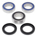 All Balls Racing Wheel Bearing Kit (25-1420)