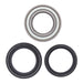 All Balls Racing Wheel Bearing Kit (25-1502)