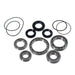 Differential Bearing & Seal Kit Front 25-2145