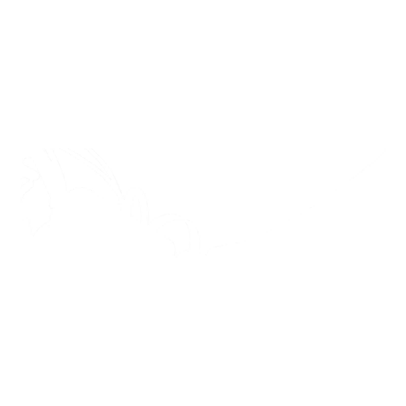 Zeta Clutch Reservoir Cover Honda CRF450R '21-, Kawasaki KX250 '21- Red