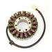 Stator Triumph Daytona 955/955i ('01-'06)