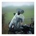 Oxford Windshield Tinted 260 × 125mm