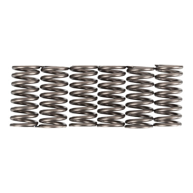 Premier Clutch Springs - Heavy Duty