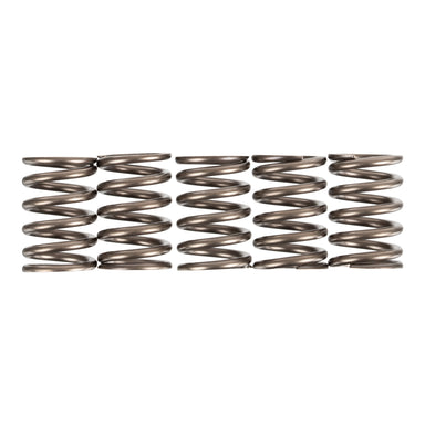 Premier Clutch Springs - Heavy Duty