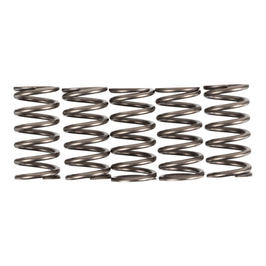 Premier Clutch Springs - Heavy Duty