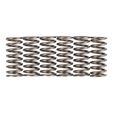 Premier Clutch Springs - Heavy Duty