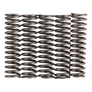 Premier Clutch Springs - Heavy Duty
