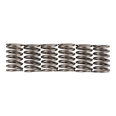 PREMIER CLUTCH SPRINGS - HEAVY DUTY
