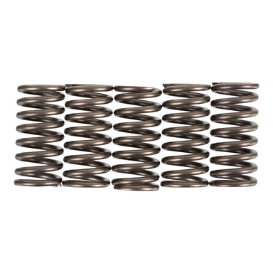 Premier Clutch Springs - Heavy Duty