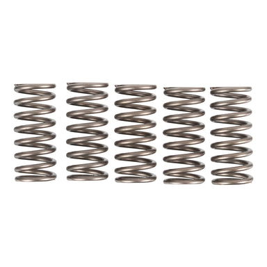 Premier Clutch Springs - Heavy Duty