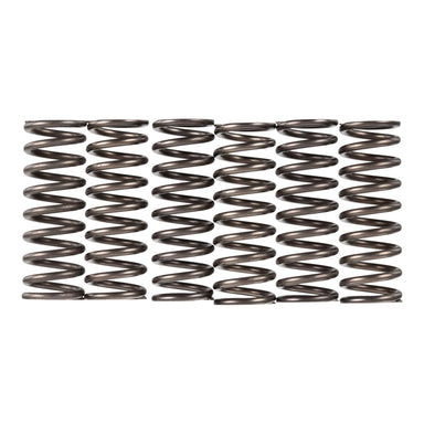 Premier Clutch Springs - Heavy Duty