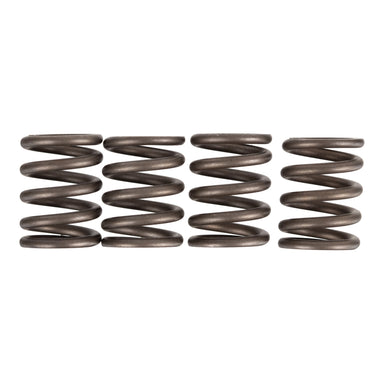 Premier Clutch Springs - Heavy Duty