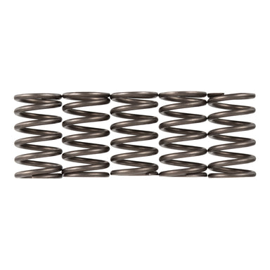 Premier Clutch Springs - Heavy Duty