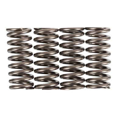 Premier Clutch Springs - Heavy Duty