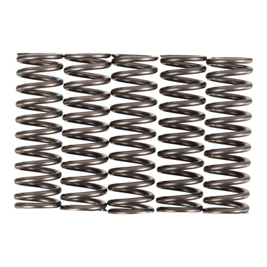 Premier Clutch Springs - Heavy Duty