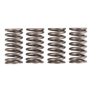 Premier Clutch Springs - Heavy Duty