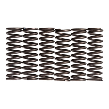Premier Clutch Springs - Heavy Duty