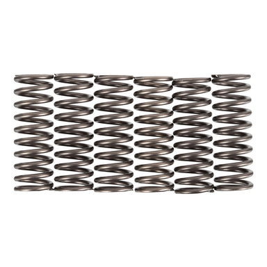Premier Clutch Springs - Heavy Duty