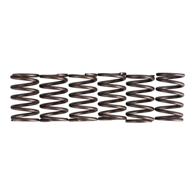 Premier Clutch Springs - Heavy Duty