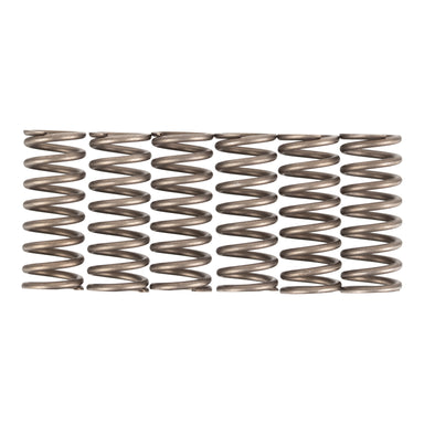 Premier Clutch Springs - Heavy Duty