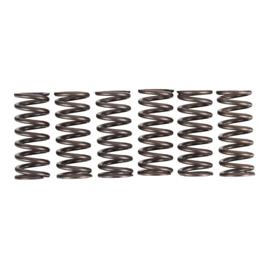 Premier Clutch Springs - Heavy Duty
