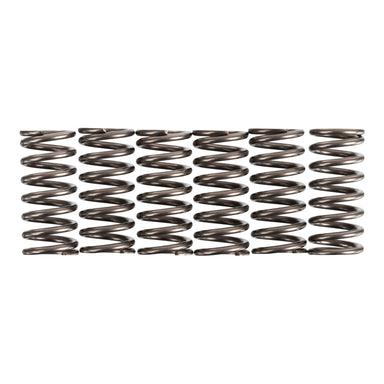 Premier Clutch Springs - Heavy Duty