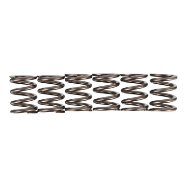 Premier Clutch Springs - Heavy Duty