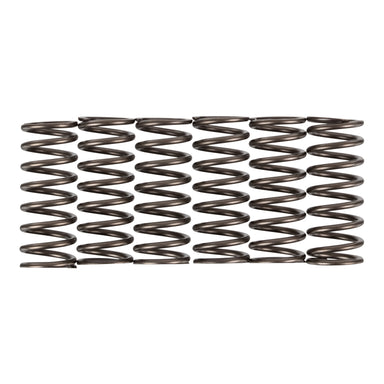 Premier Clutch Springs - Heavy Duty