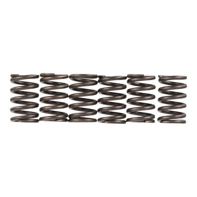Premier Clutch Springs - Heavy Duty