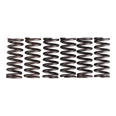 Premier Clutch Springs - Heavy Duty