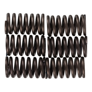 Premier Clutch Springs - Heavy Duty