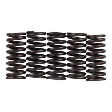 Premier Clutch Springs - Heavy Duty
