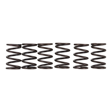Premier Clutch Springs - Heavy Duty