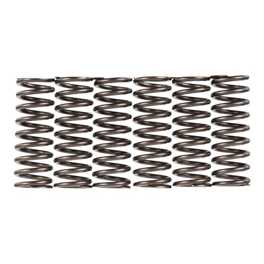 Premier Clutch Springs - Heavy Duty