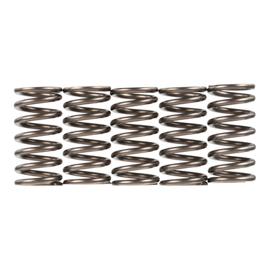 Premier Clutch Springs - Heavy Duty