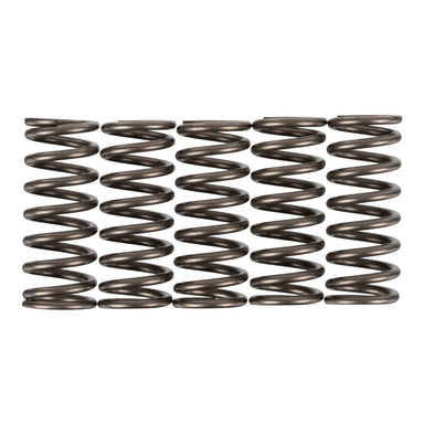 Premier Clutch Springs - Heavy Duty