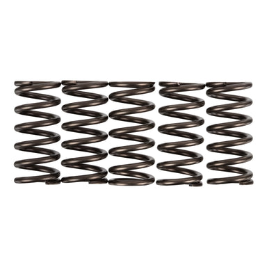Premier Clutch Springs - Heavy Duty
