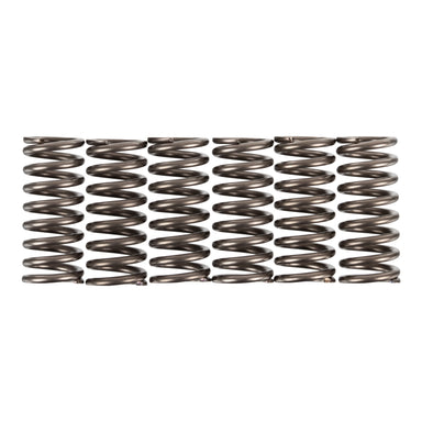 Premier Clutch Springs - Heavy Duty