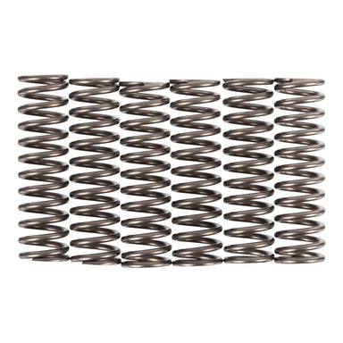Premier Clutch Springs - Heavy Duty