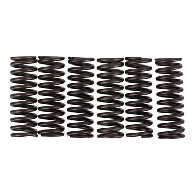 Premier Clutch Springs - Heavy Duty