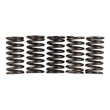 Premier Clutch Springs - Heavy Duty