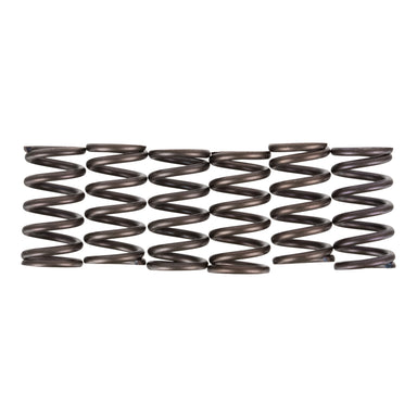 Premier Clutch Springs - Heavy Duty