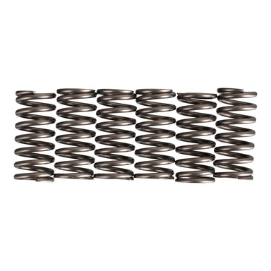 Premier Clutch Springs - Heavy Duty